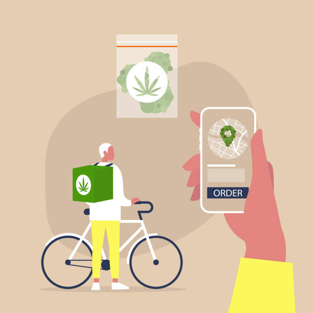 온라인 대마초 배달 서비스에 대한 모바일 응용 프로그램, 자전거를 타고 큰 배낭젊은 남성 택배 - weeding stock illustrations