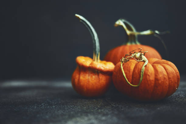 istock Thanksgiving still life background with miniature pumpkins 1184528773