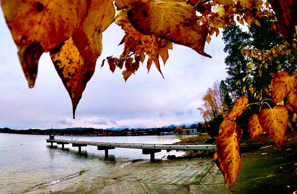 herbstfarben am pier - flathead valley stock-fotos und bilder