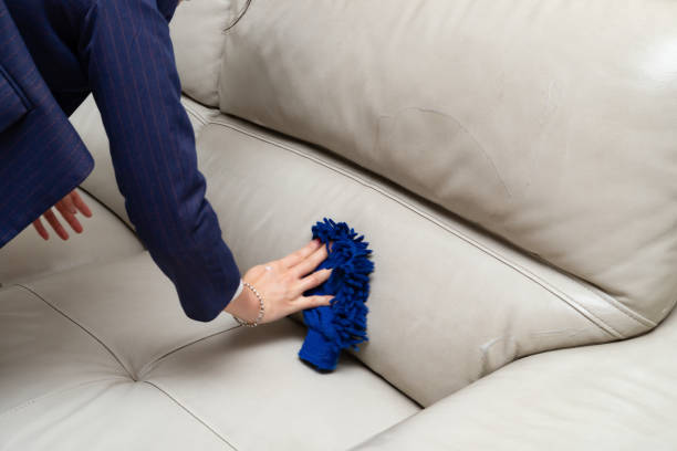 istock lady cleaning leather sofa with soapy sponge 1184529835