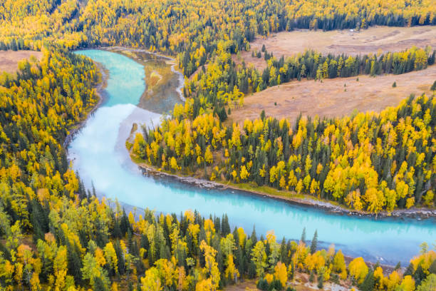 istock xinjiang kanas river landscape in autumn 1184529928