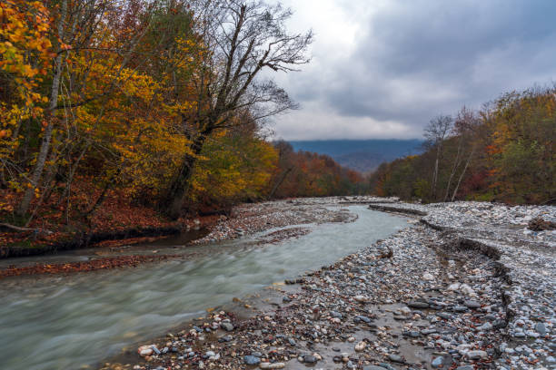 istock Fast mountain river and yellow autumn forest 1184554396