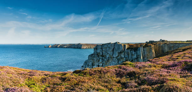 istock lilac heath meadows and jagged cliffs on the wild coast of Brittany 1184555269