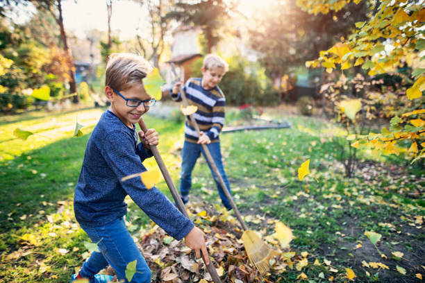 little boys raking autumn leaves - smiling little girls little boys autumn imagens e fotografias de stock