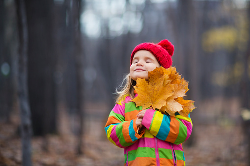 adorable happy kid girl in a red cap with fallen autumn leaves in autumn park