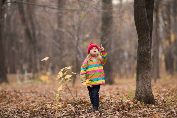 istock Kid girl in a red cap walk autumn day. 1184561421