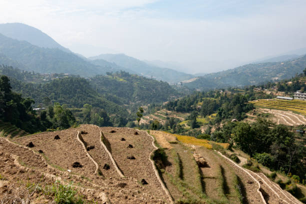 istock Newly Made Terraces 1184561474