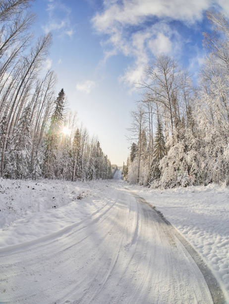 istock road in the forest. winter 1184561488