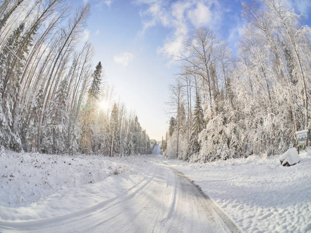 istock road in the forest. winter 1184561493