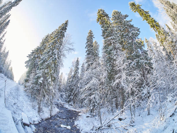 istock river in the winter. Russia 1184561545