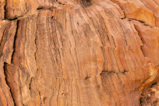 istock Close up old rock or stone texture, nature background 1184562490