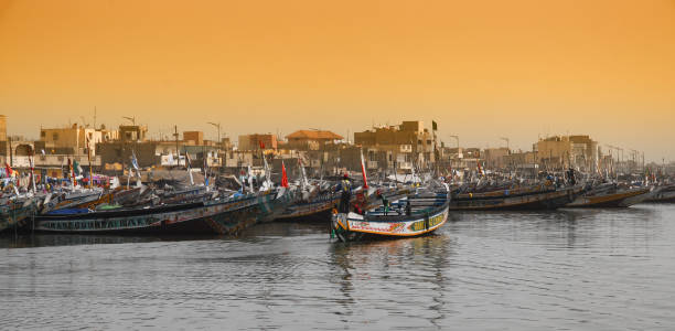 Fishing boats in the Senegal, called pirogue or piragua or piraga Fishing boats in the Senegal, called pirogue or piragua or piraga senegal photos stock pictures, royalty-free photos & images