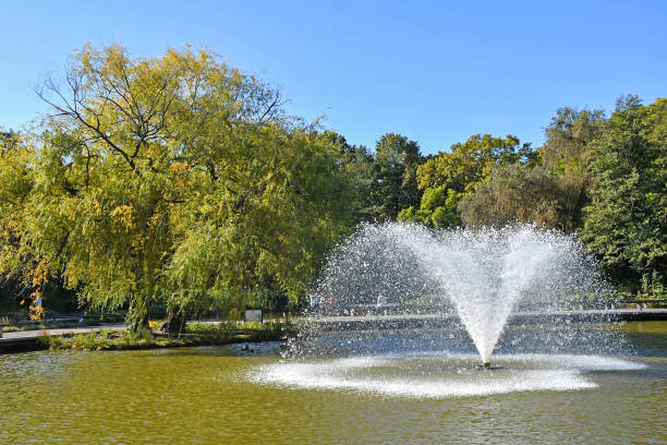 istock Fountain in the lake autumn time 1184564770