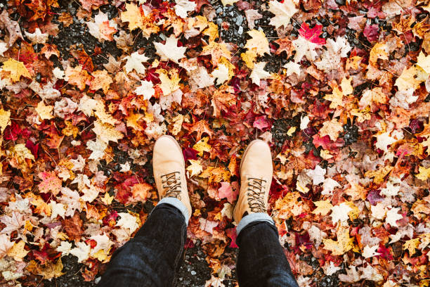 autumn boots of the leaves