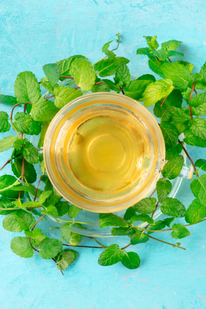 istock Mint tea cup, overhead shot on a blue background with fresh green mint leaves 1184566196
