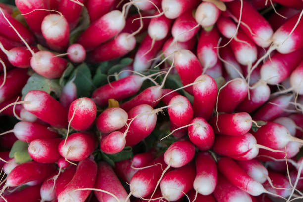 istock market food vegetables 1184566433