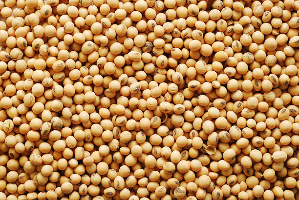 close-up of piles of soy beans - soya fasulyesi stok fotoğraflar ve resimler