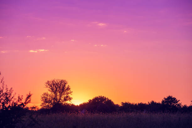 Rural landscape in the evening at sunset