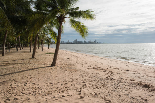 istock pattaya thailand 1184572917