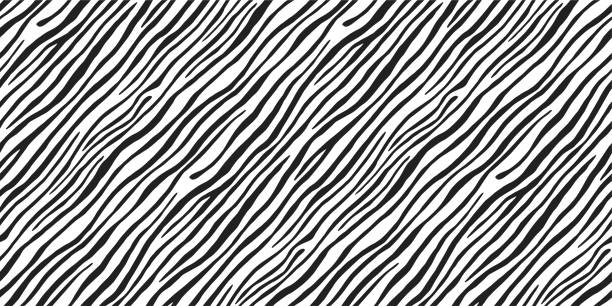 nahtlose vektor schwarz und weiß zebra pelz muster. stilvolle wilde zebra-druck. tier-druck-hintergrund für stoff, textil, design, werbebanner. - safari animals animal feline undomesticated cat stock-grafiken, -clipart, -cartoons und -symbole