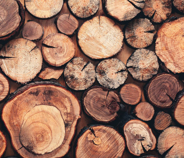 istock Close up modern creative decor wall with stacked wooden sawn logs background 1184580533