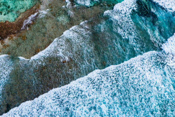 istock Big ocean waves hitting a coral rif. View from above. 1184581078