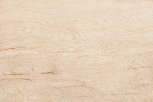 superfície de madeira compensada em padrão natural com alta resolução. fundo granulado de madeira da textura. - wood birch wood grain textured - fotografias e filmes do acervo
