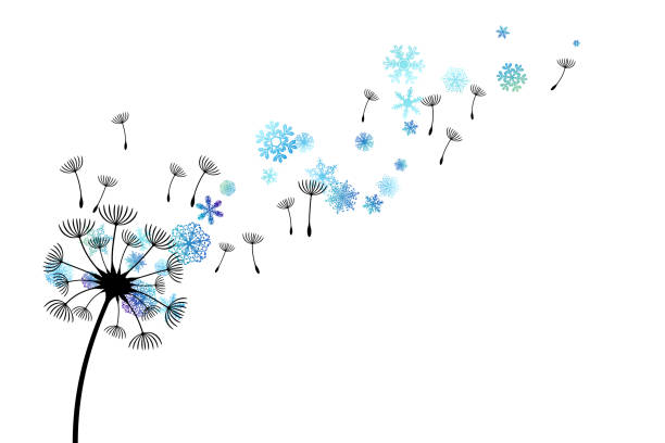 illustrazioni stock, clip art, cartoni animati e icone di tendenza di dente di leone con fiocchi di neve volanti e semi. - dandelion snow immagine