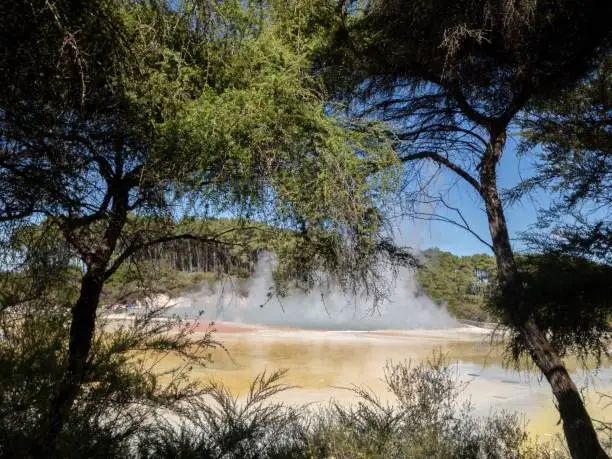 Photo of The Champagne Pools in Rotorua spew out hot smoke.This is a popular tourist destination
