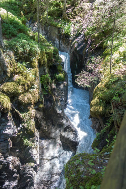istock Beautiful natural ravine with the rapid stream waters 1184584990