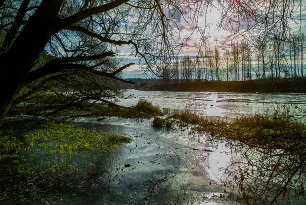 istock river landscape with sun and water reflection 1184585353