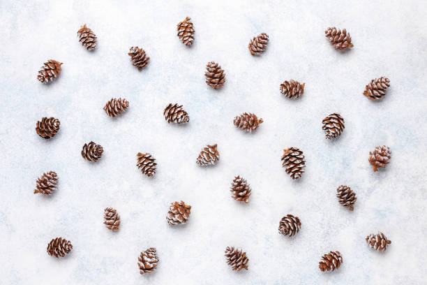 istock christmas background made of pine cones. 1184587477
