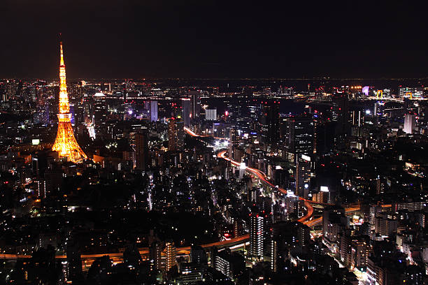 istock Tokyo night cityscape horizontal 118459269