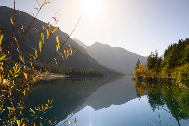 istock beautiful fall mood at lake plansee with orange colored trees and clear reflecting water 1184592809