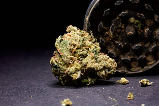 istock Metal grinder with marijuana, isolated on a black 1184593547