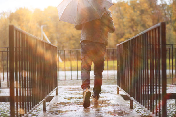 istock Autumn background in the park 1184594243