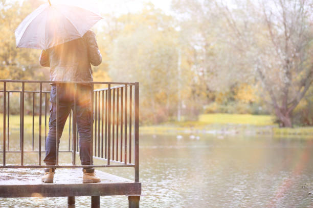 istock Autumn background in the park 1184595520