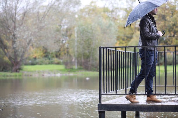 istock Autumn background in the park 1184595581