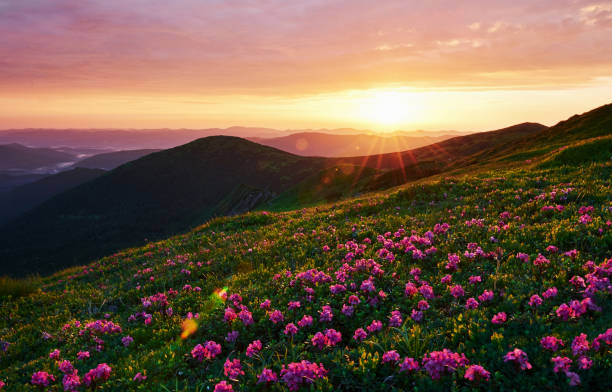 istock Cloudly sky. Majestic Carpathian mountains. Beautiful landscape. Breathtaking view 1184595637