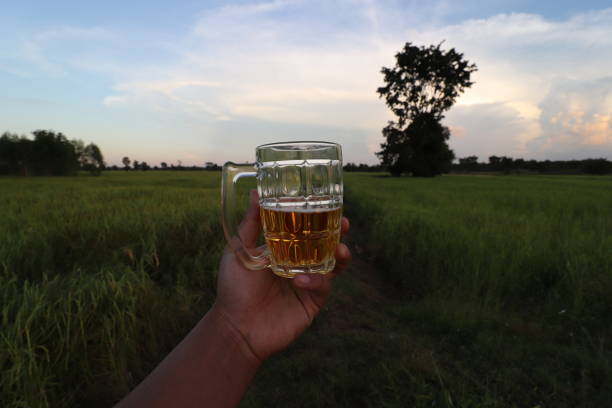 istock brown skin man happily drink beer 1184595769