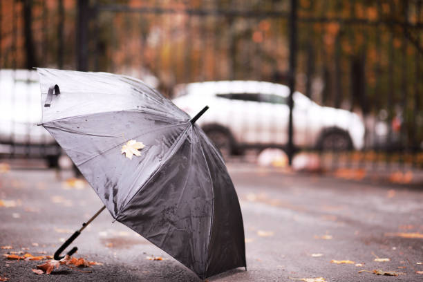 istock Autumn rainy park in October 1184595834