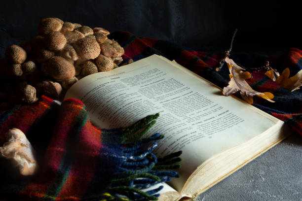 istock Autumn Forest wild mushrooms honey agarics with cooking book on a table 1184597523