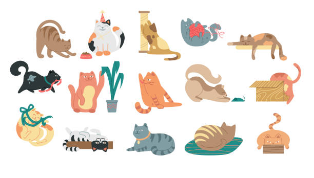 Large set of cartoon cats Large set of cartoon cats at various activities stretching, sleeping, playing, grooming and fetching yarn in a flat vector illustration on white for design elements animal behavior stock illustrations