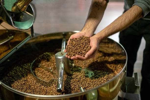 istock Control Of Roasted Coffee In Cooling Boiler 1184603574
