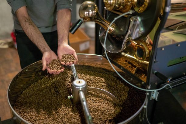istock Control Of Roasted Coffee In Cooling Boiler 1184603646