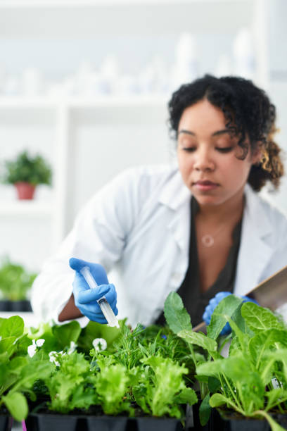 istock My aim is to double crop production 1184603759