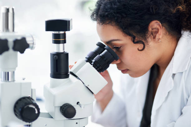 istock Getting to the bottom of it 1184603808