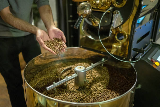 istock Control Of Roasted Coffee In Cooling Boiler 1184603863
