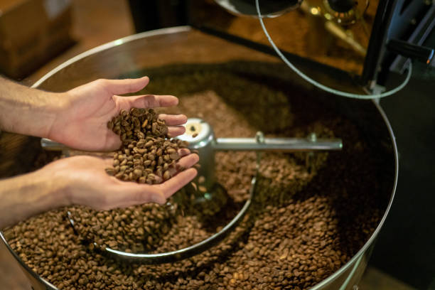 istock Control Of Roasted Coffee In Cooling Boiler 1184603988