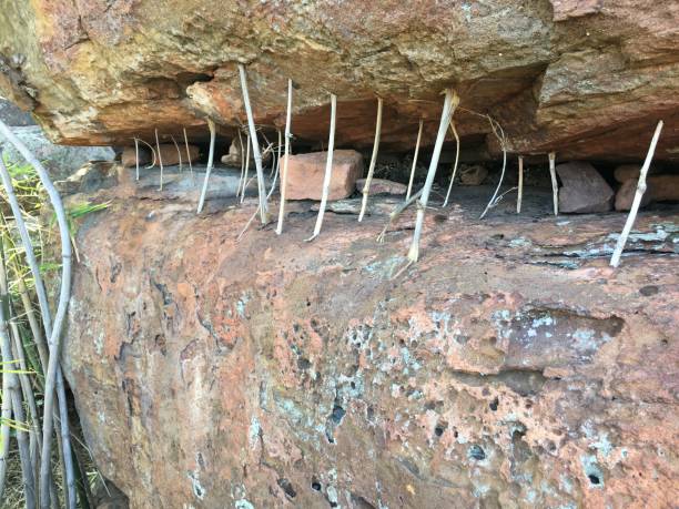 istock The wood under the stone 1184605676